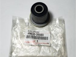 Bush according to Balaprado-2002