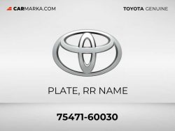 Land Cruiser Gold Oval Side Trunk Logo-2007