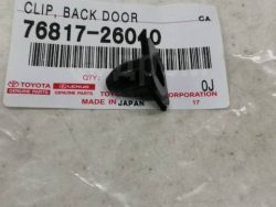 أنثى القنفذ خطيرة-2008