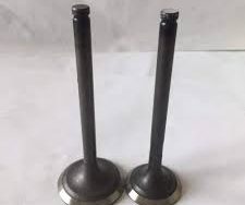 Land Cruiser-4500-1FZ engine valve