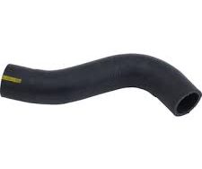 خرطوم المبرد السفلي