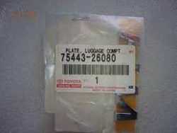 IVVT Column Hayes Logo--2008