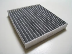 Hayes Interior Air Filter-2008-2015