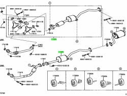 الحلق الهيكلي الخارجي